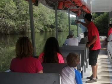 Crocodile safari - photo 2